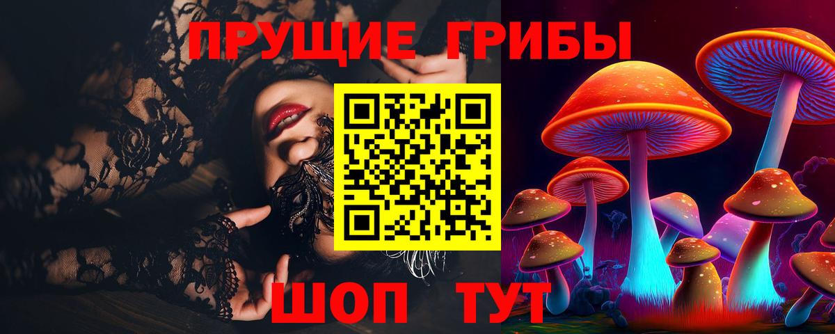 Галлюциногенные грибы Cubensis  Вход с VPN  Галлюциногенные грибы ЛСД  Морозовск 
