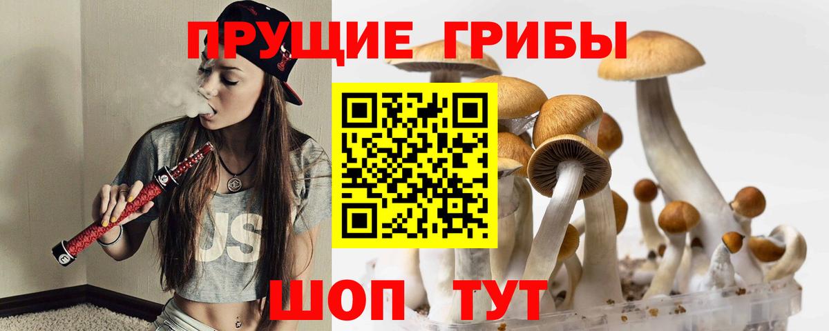 Галлюциногенные грибы ЛСД Морозовск