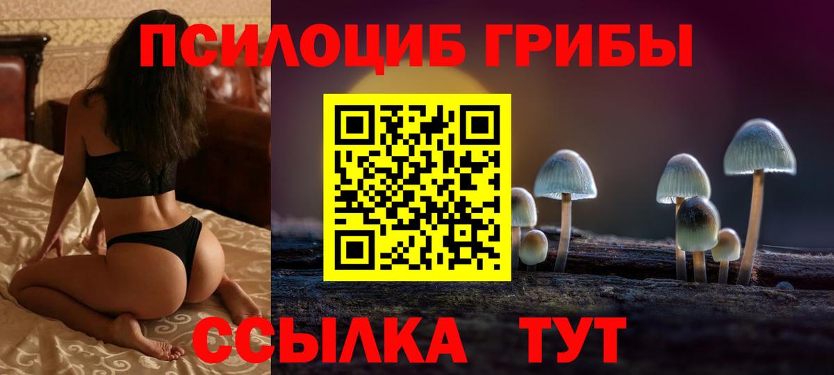 Галлюциногенные грибы Psilocybe  Морозовск 